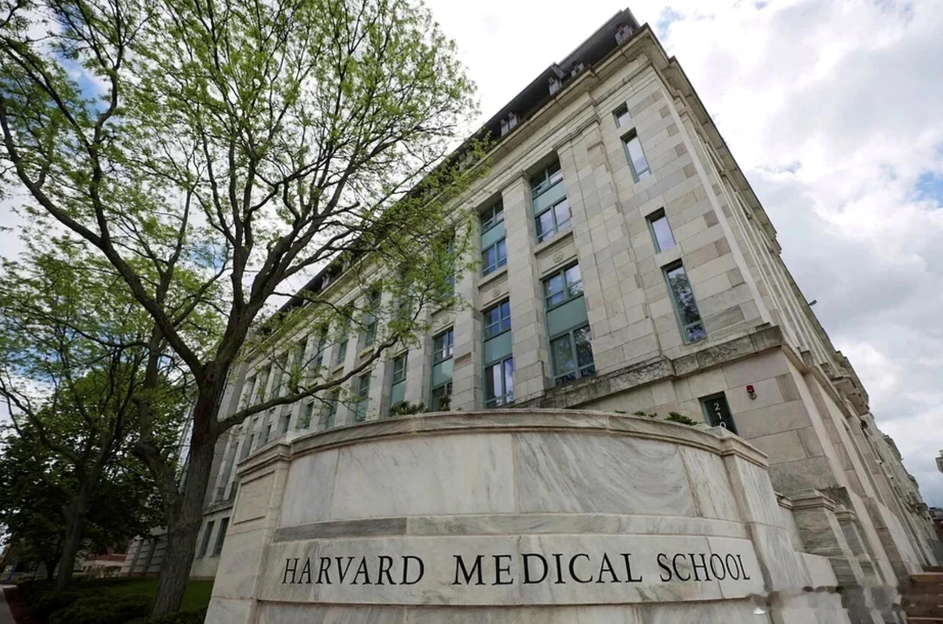 哈佛医学院华裔教授涉嫌家暴孕妻：持刀威胁、强迫留在煤气泄漏厨房，已被起诉海外新鲜