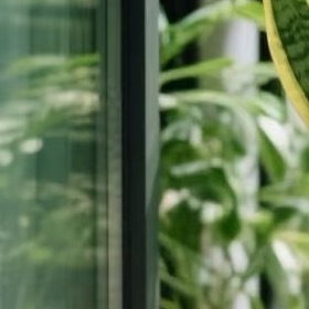 虎皮兰种植养护（超耐旱、懒人绿植）一、盆土与上盆土壤：疏松透气沙质土，腐叶土+园