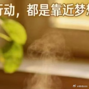 每日一善 行动，是治愈一切内耗的良药。你只管往前行动，是治愈一切内耗的良药。你只