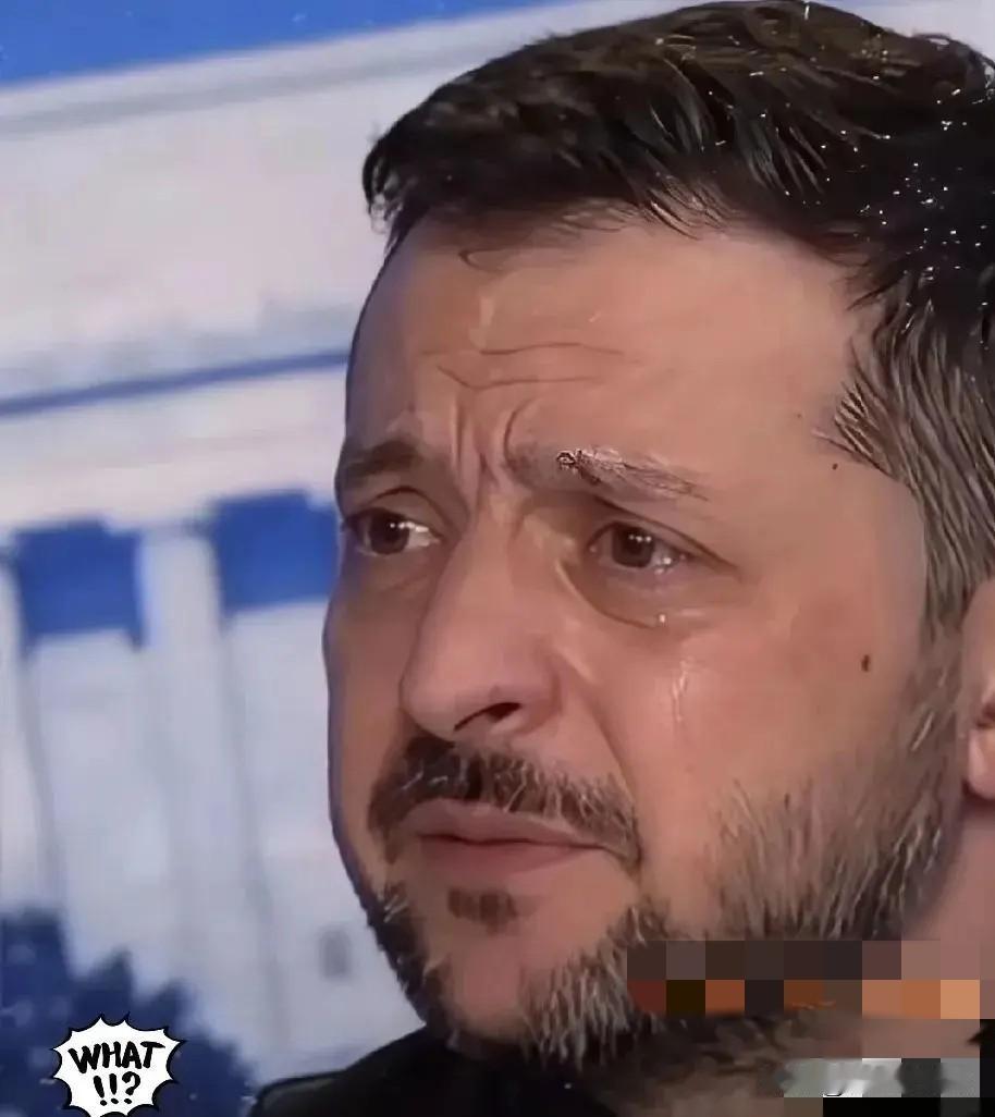 四年战争乌克兰得到了什么？
第一，没有加入北约。
第二，没有加入欧盟。
第三，没