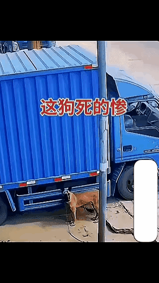 哎，这是真的太惨了一点