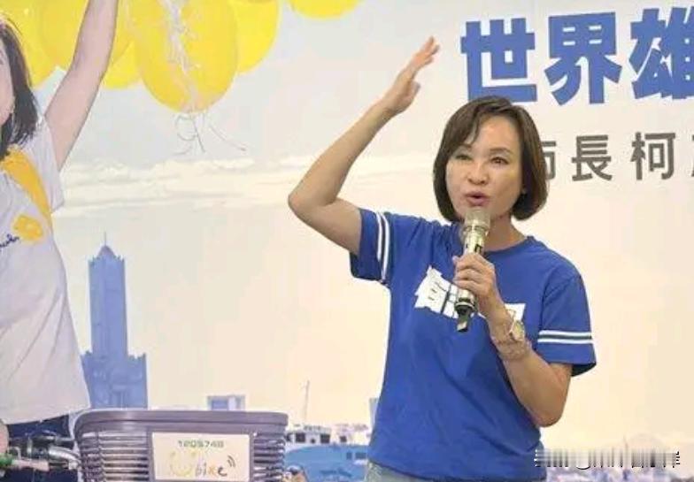 不复制韩流，柯志恩刻意避开韩国瑜模式的背后是怎样考量

本月19日，蓝营高雄市长