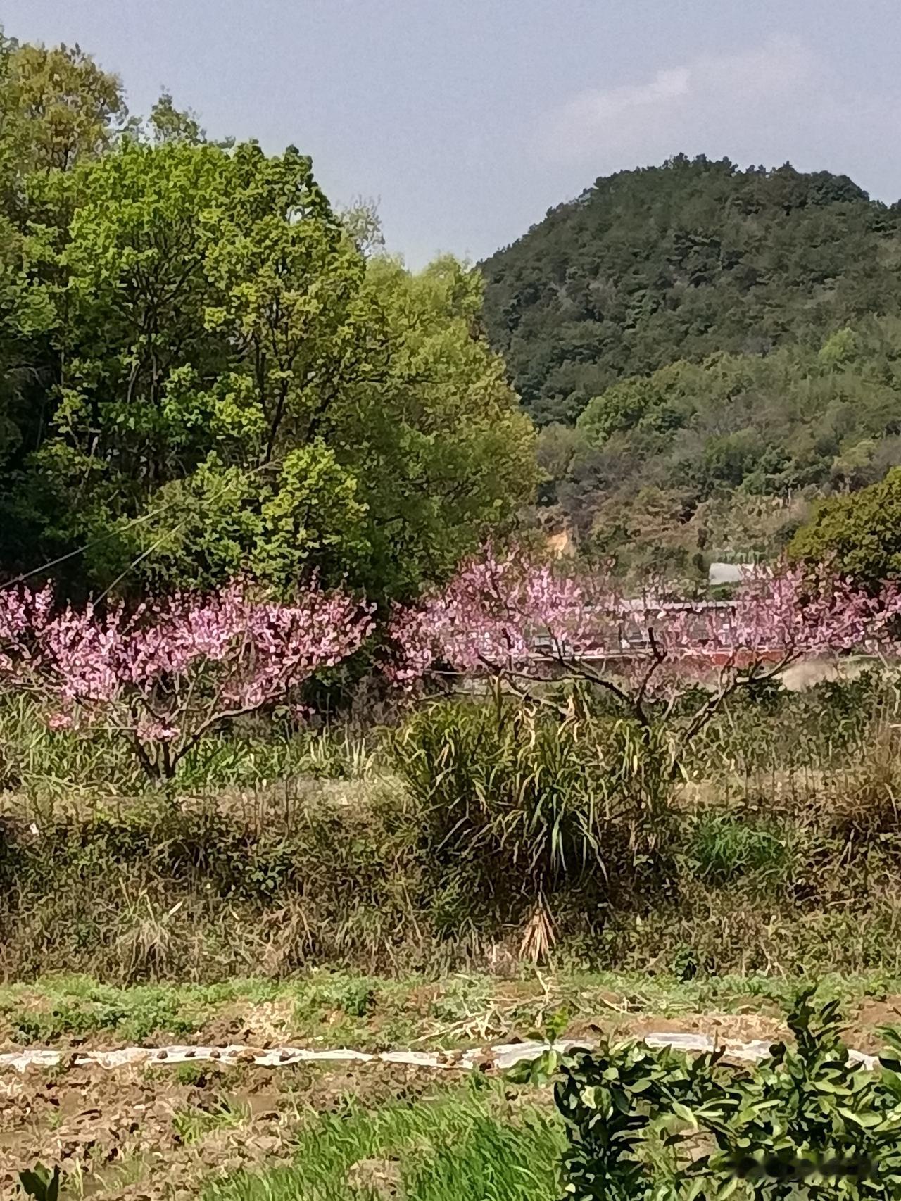 说实话，这是个不易察觉的糟糕问题。其糟糕之处在于，它迫使我们选边站队。一个具备思