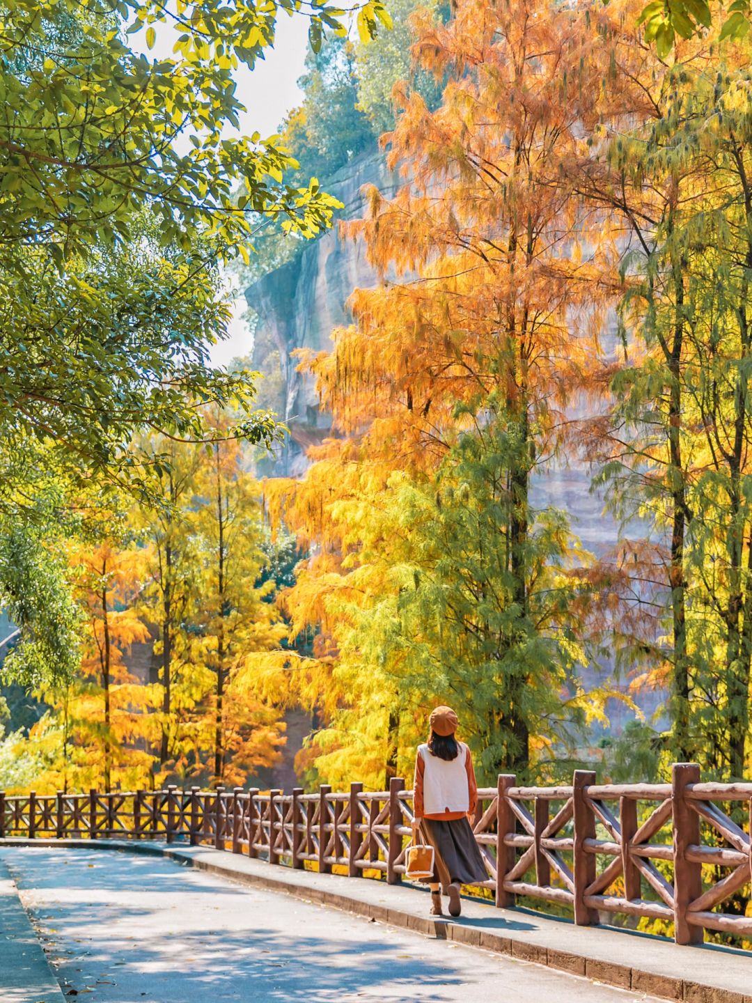 广州的落羽杉都在这里了🍂谁不心动‼️