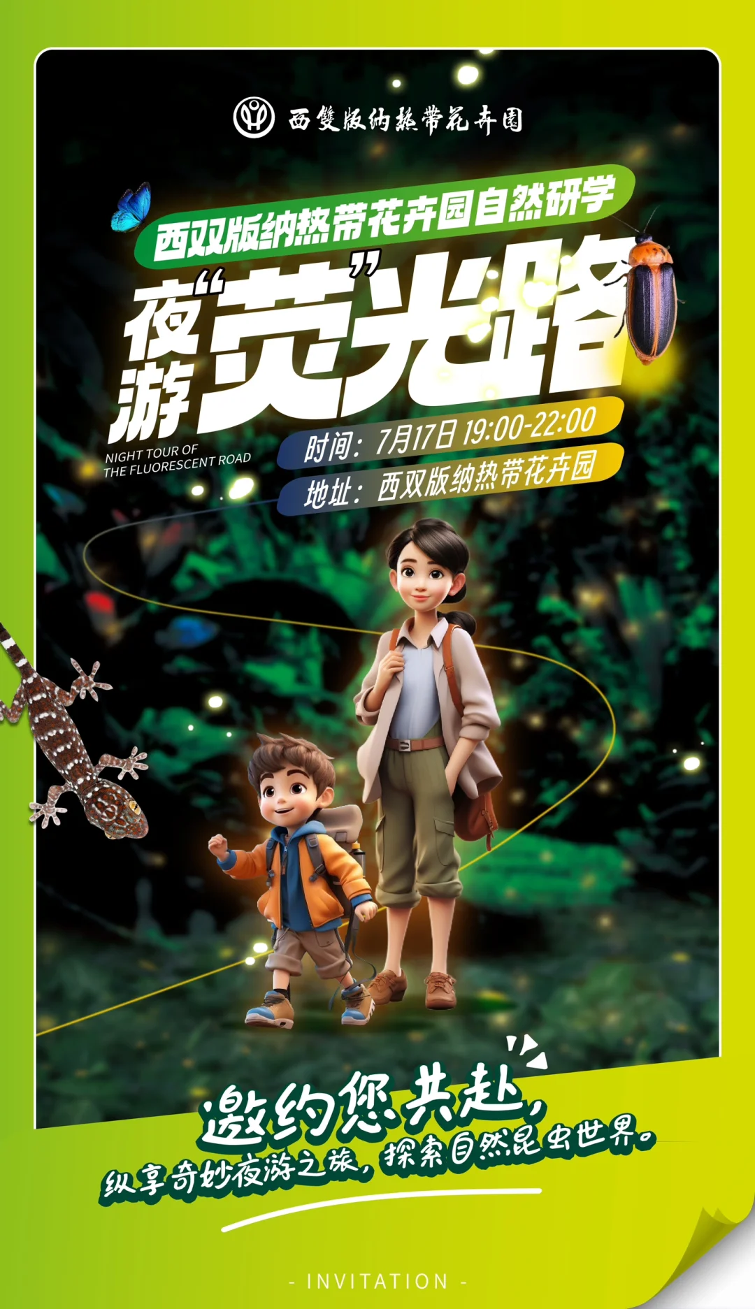 版纳达人招募｜探索大自然，夜观萤火虫