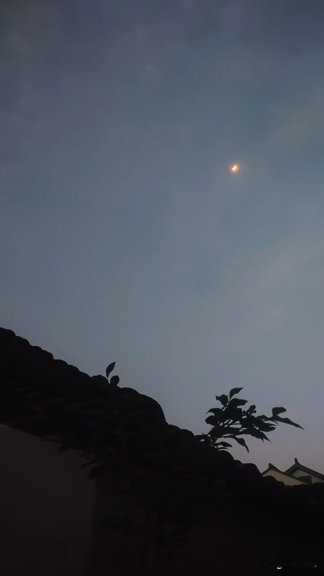 “欲买桂花同载酒，终不似，少年游”，这句话真的太戳人了。就像番茄小说里那部《终不