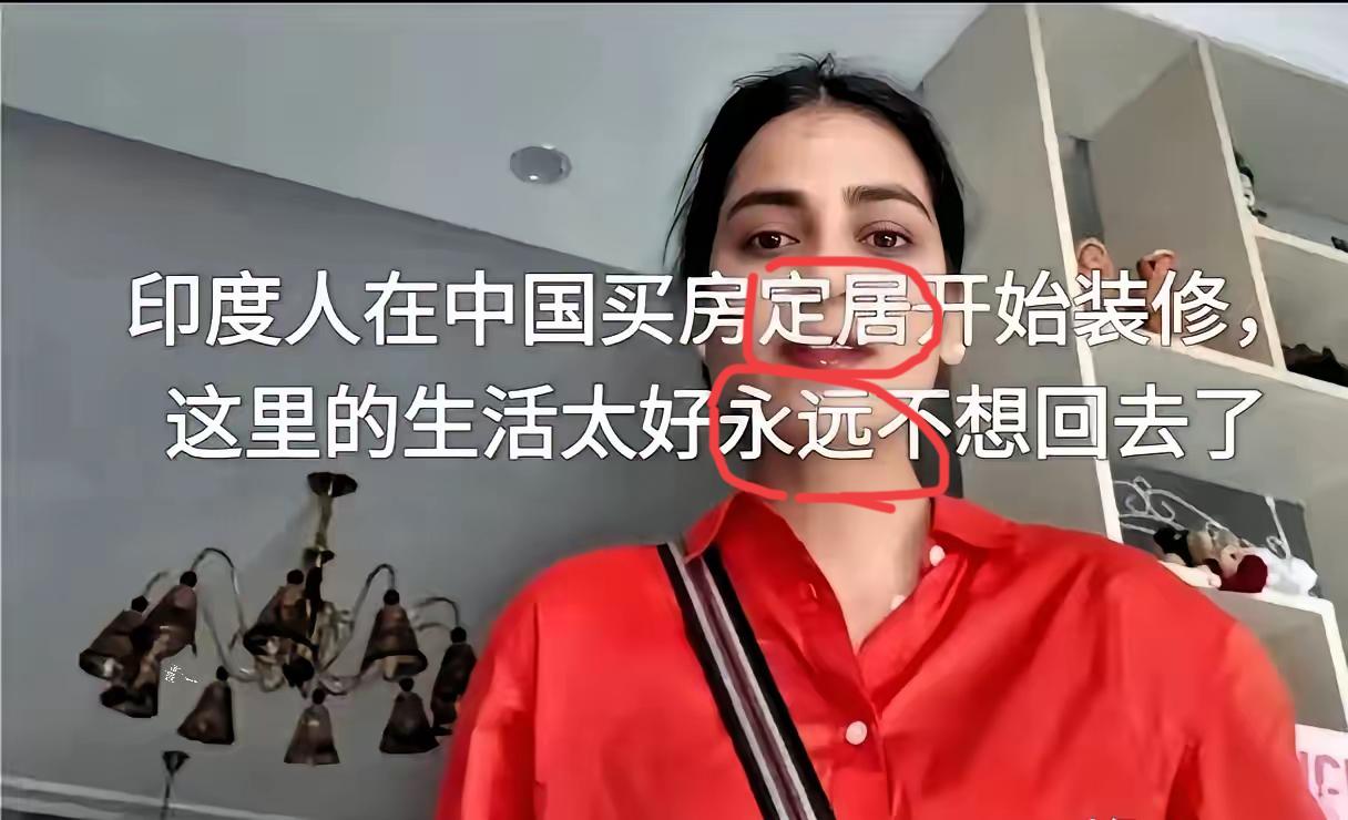 一家印度人出现在某个小区，然后，业主们收起了平时的分歧，一致对外，最后那家人从小