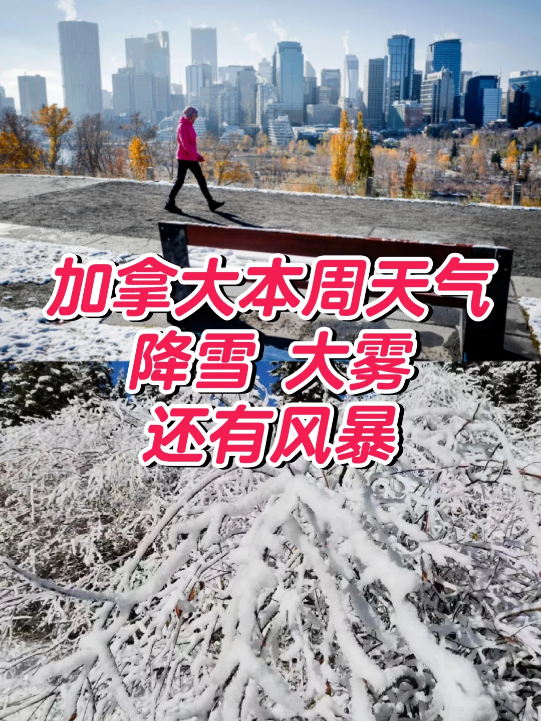 加拿大部分地区本周将迎来30cm降雪！