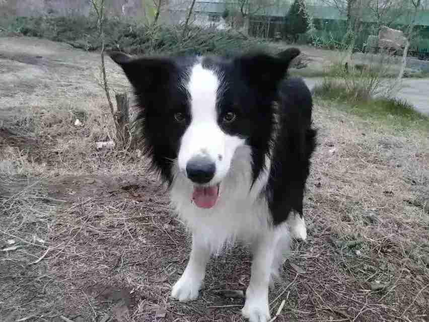 我的今日状态：😭伤心难过
我这里的天气：🌧下雨

昨天傍晚来到钱塘江边看见边