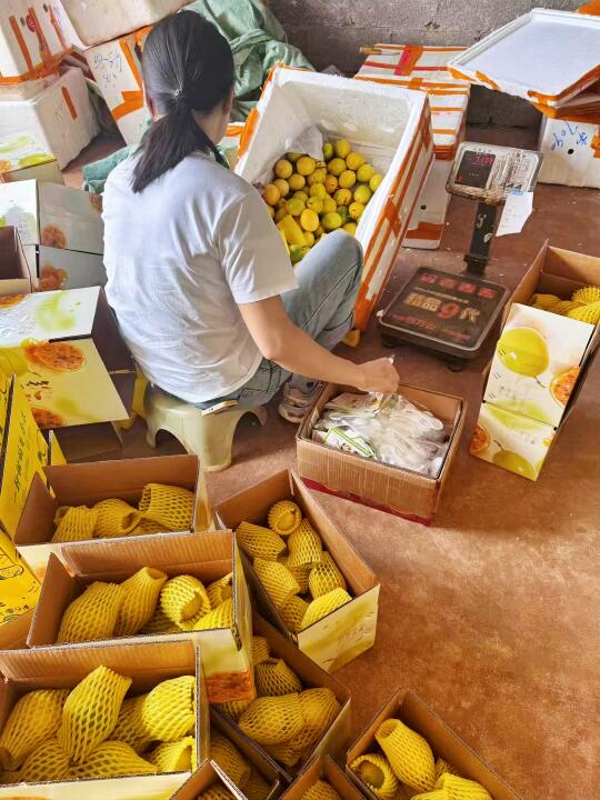 回馈老顾客300箱，9块9一箱，包甜包售后！