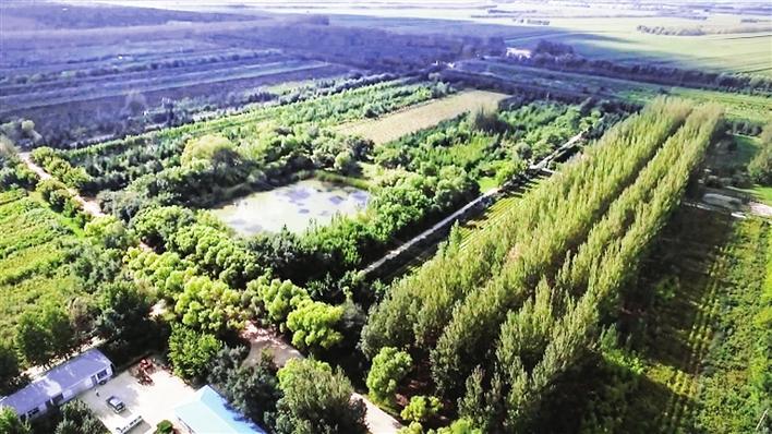 “风沙肆虐地”何以变成“米粮川”