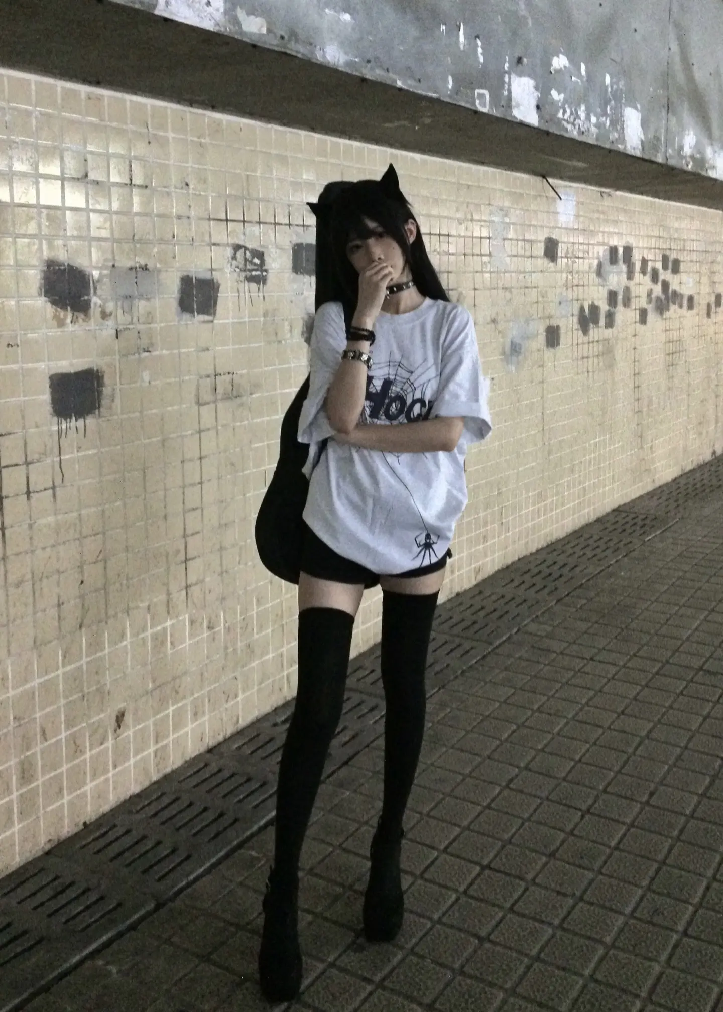 秋刀鱼会过期 洋芋会发芽