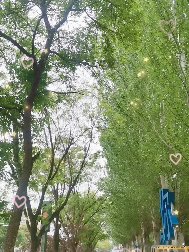 这篇我前两天就想写，一直给压住了。

刷到一个19岁小伙，直接在全网圈粉！一身利