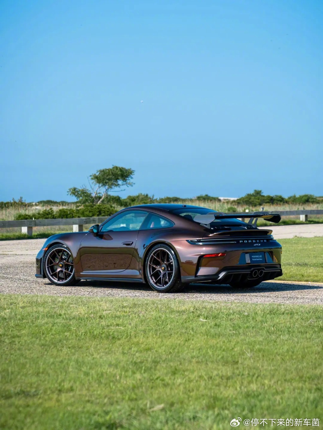 保时捷Sonderwunsch专属定制的911 GT3，外观采用PTS 澳洲坚果
