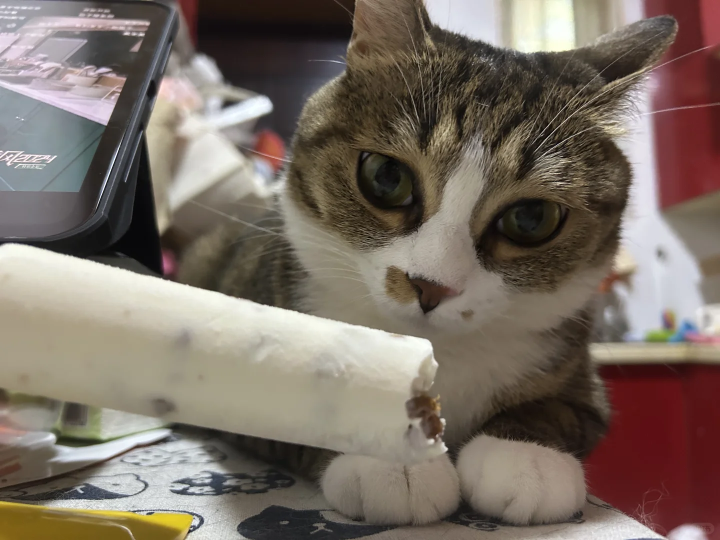 想吃雪糕吗～
