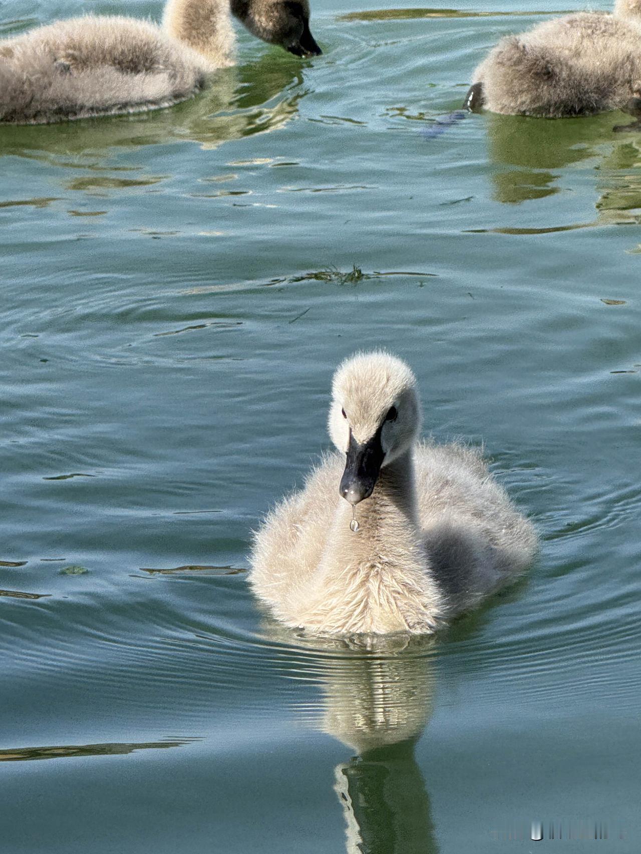 今年冬天的不同