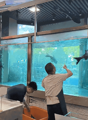 怎么捞出来?[捂脸]