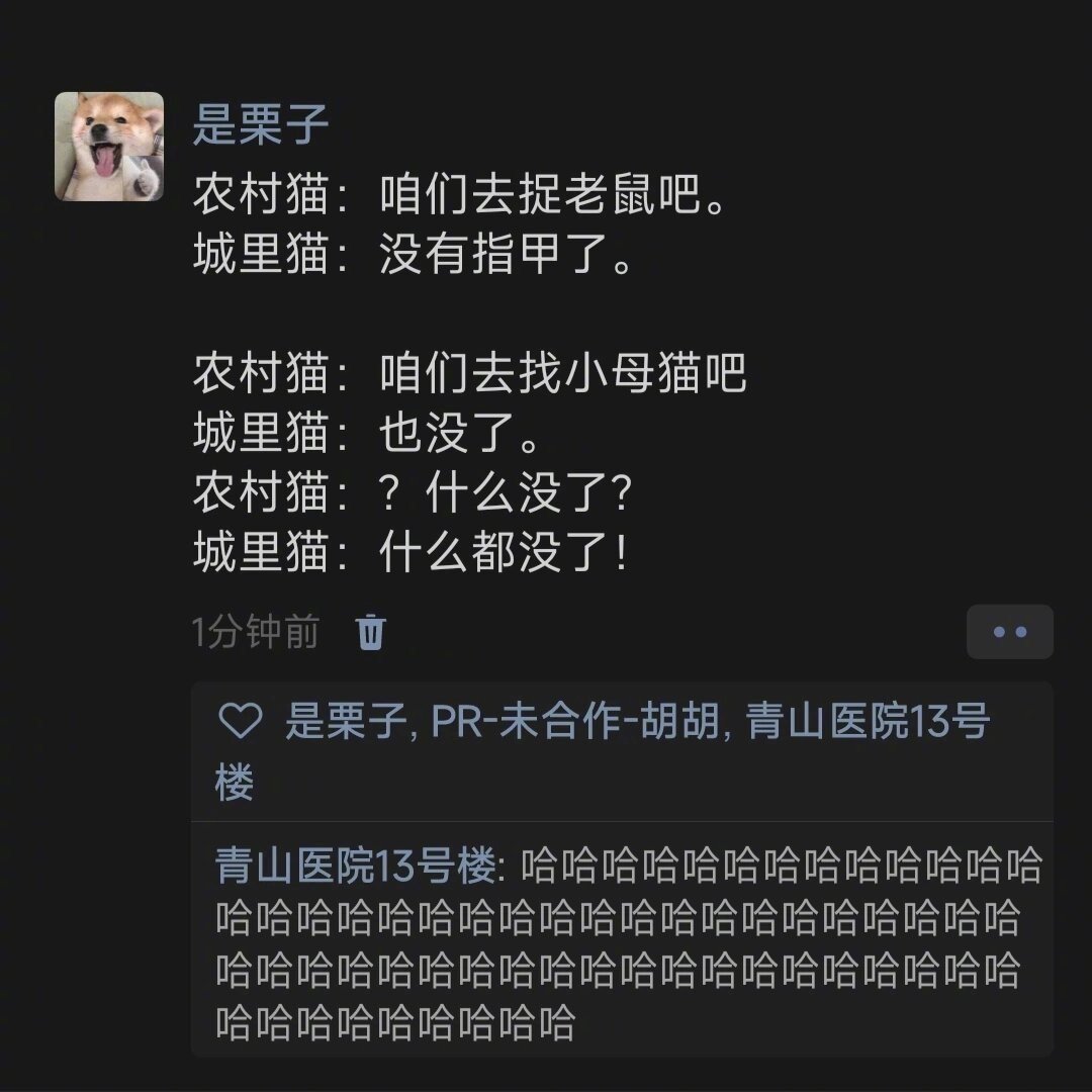 当城里猫回到农村时： ​ ​​​