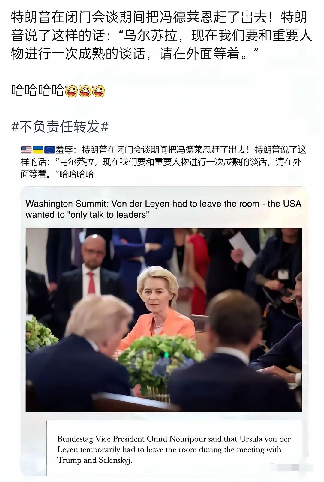 和冯德莱恩有多大仇啊！造这种谣言？
