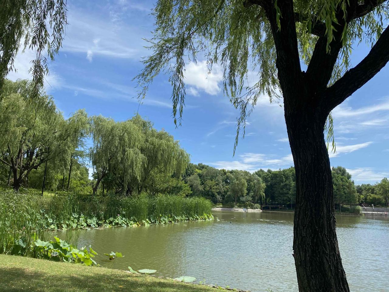 在家当全职妈妈近一年，每天坚持读书写作，有收获，也有焦虑。

有时候想，这就是自