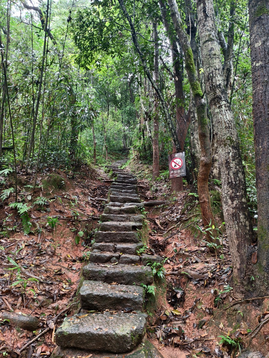 和老菜就这样冒着大雨穿着洞洞鞋艰难爬山中 