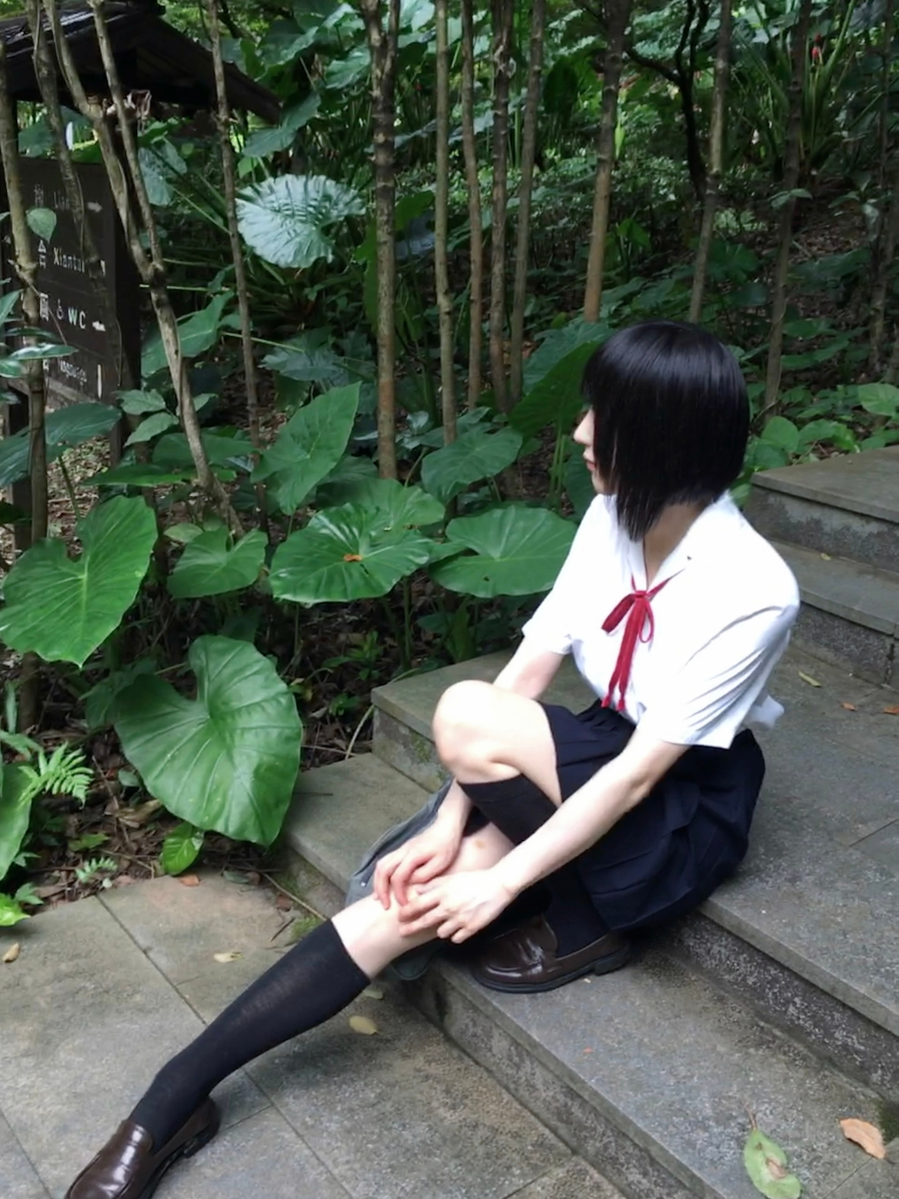 西に、西に 