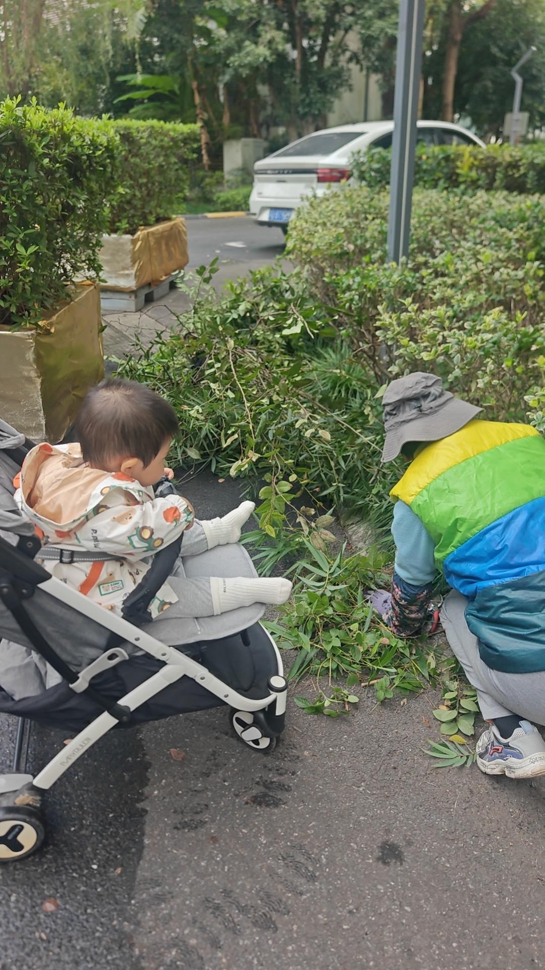 逛什么呢？看花、看树、看草、看河、看人、看车、看猫迈碎步，狗汪汪乱叫。

对于1