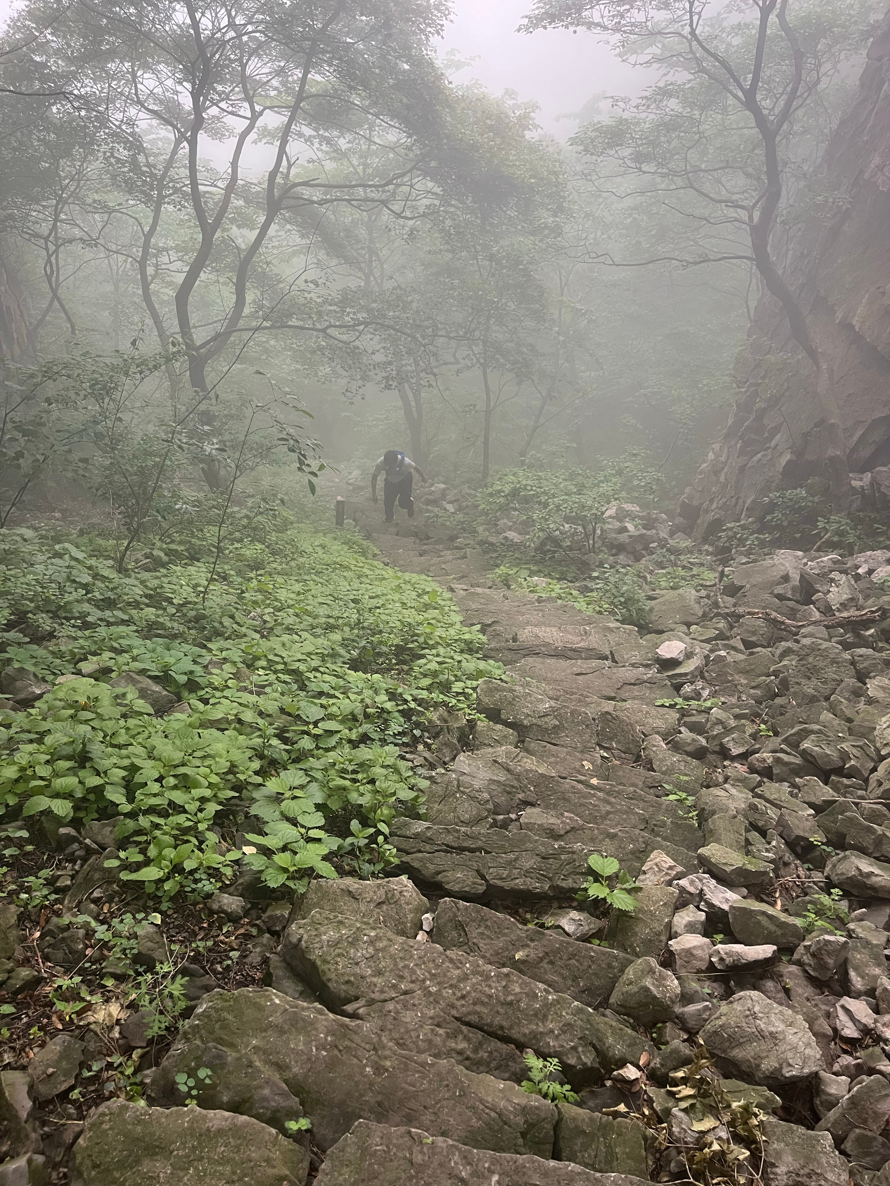 今日份打卡25km越野跑+15km放松跑，你们的521礼物也是一双跑鞋吗跑步