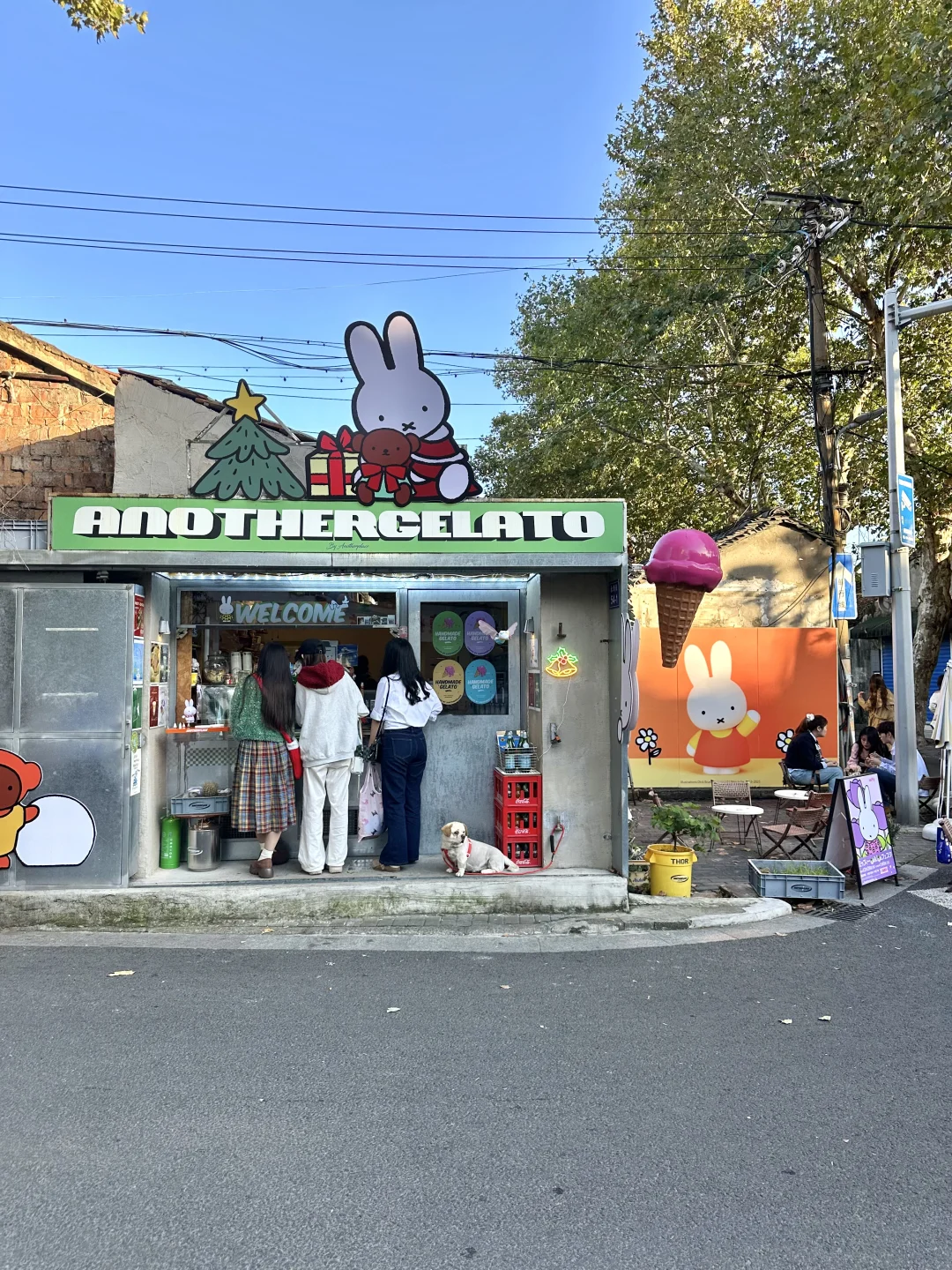 宁波首家！！宁波首家！！！🐰🐰(Live版