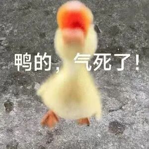 昨晚特别可怕，我梦见自己去参加考试，不管怎么写名字和班级，都会变成聂摄摄和168