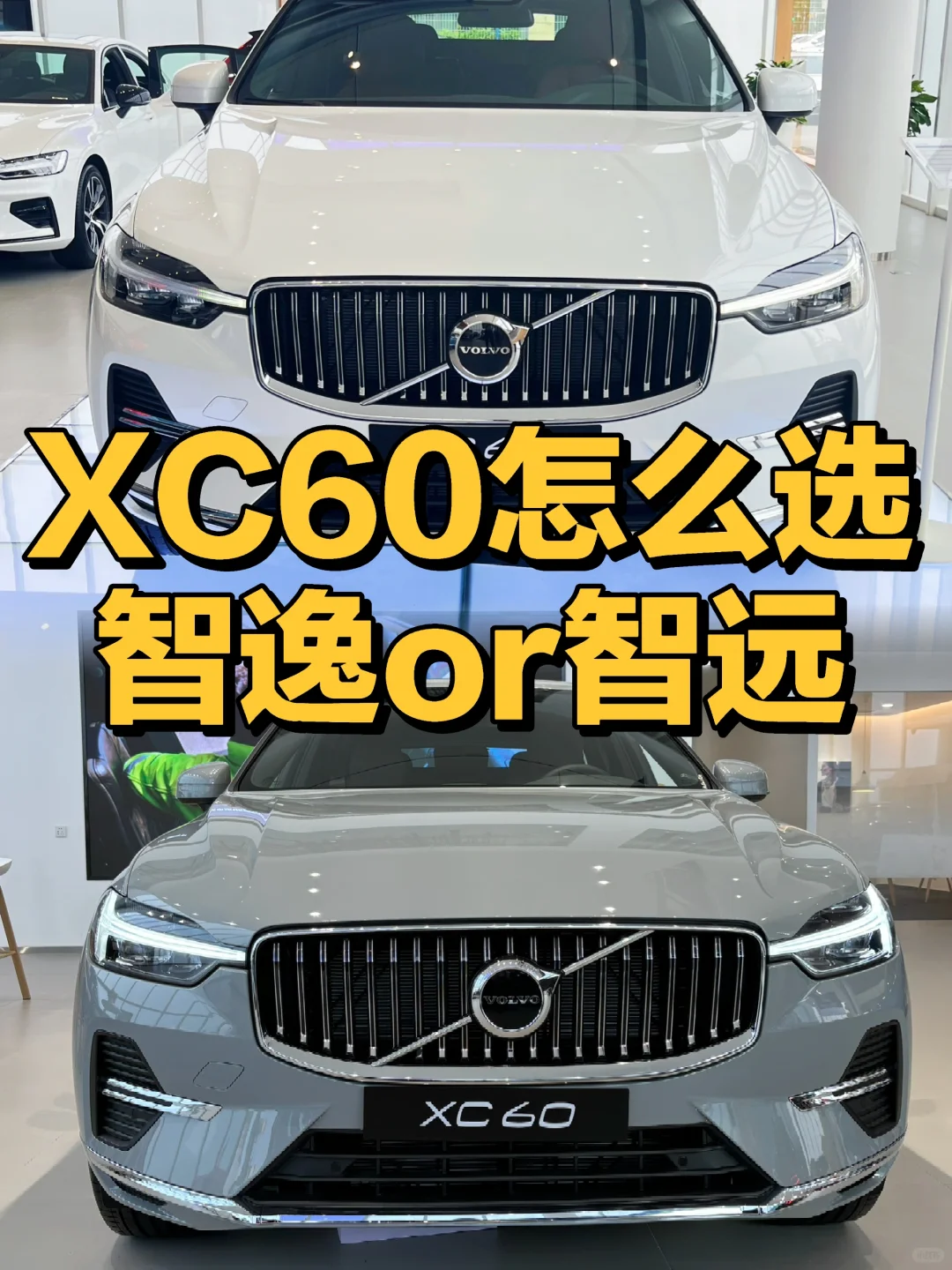 朋友们听劝！XC60一定要这样选🥳