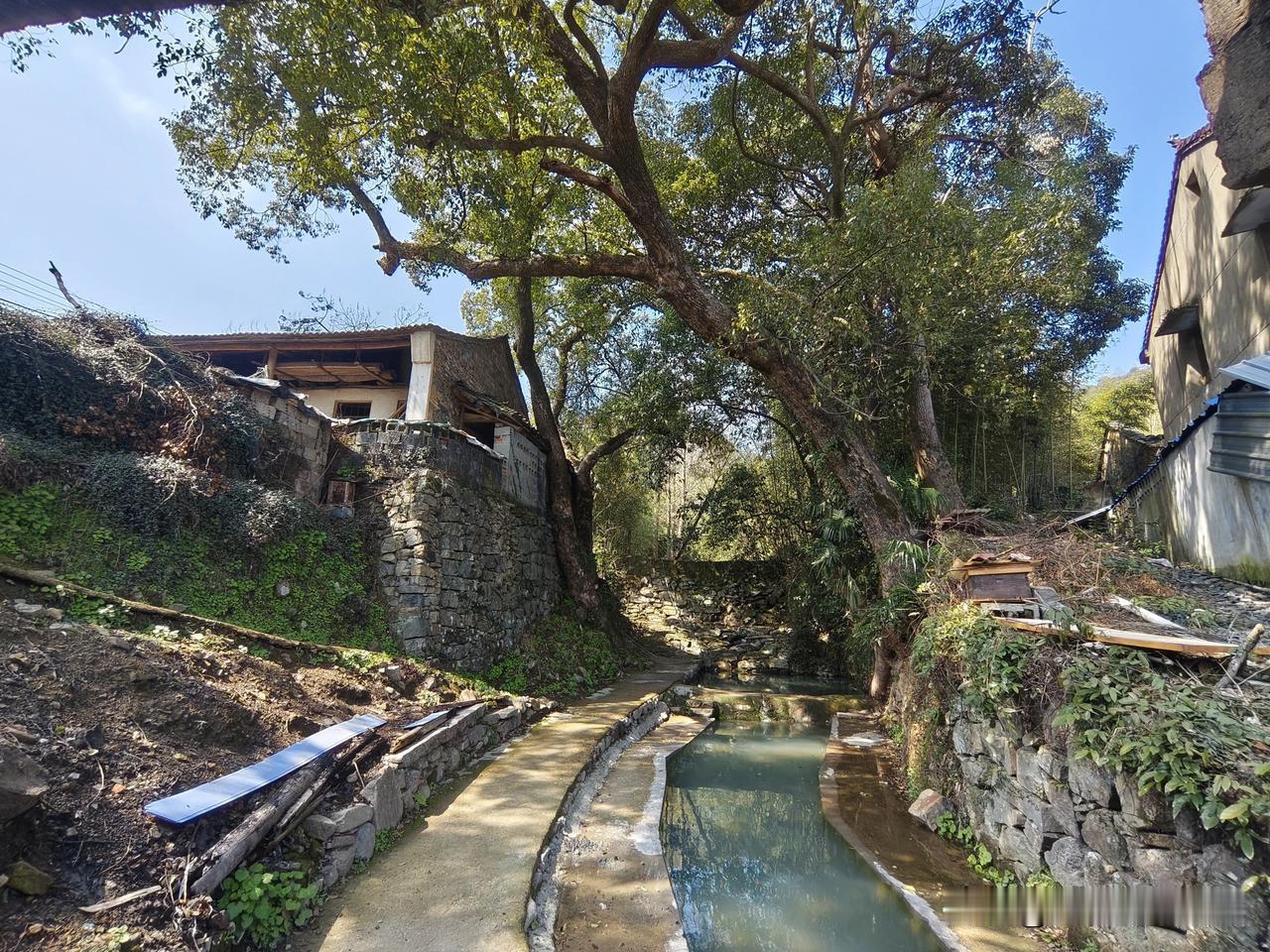 分享下你拍的乡村美景照片余姚市河姆渡镇姆岭村