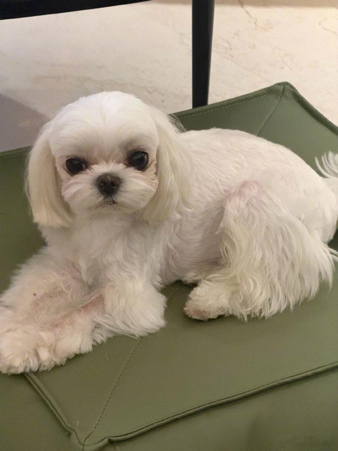 程潇素颜皮肤状态新年开工第一天刷到的春节收假plog，素颜这皮肤状态也太好了吧！