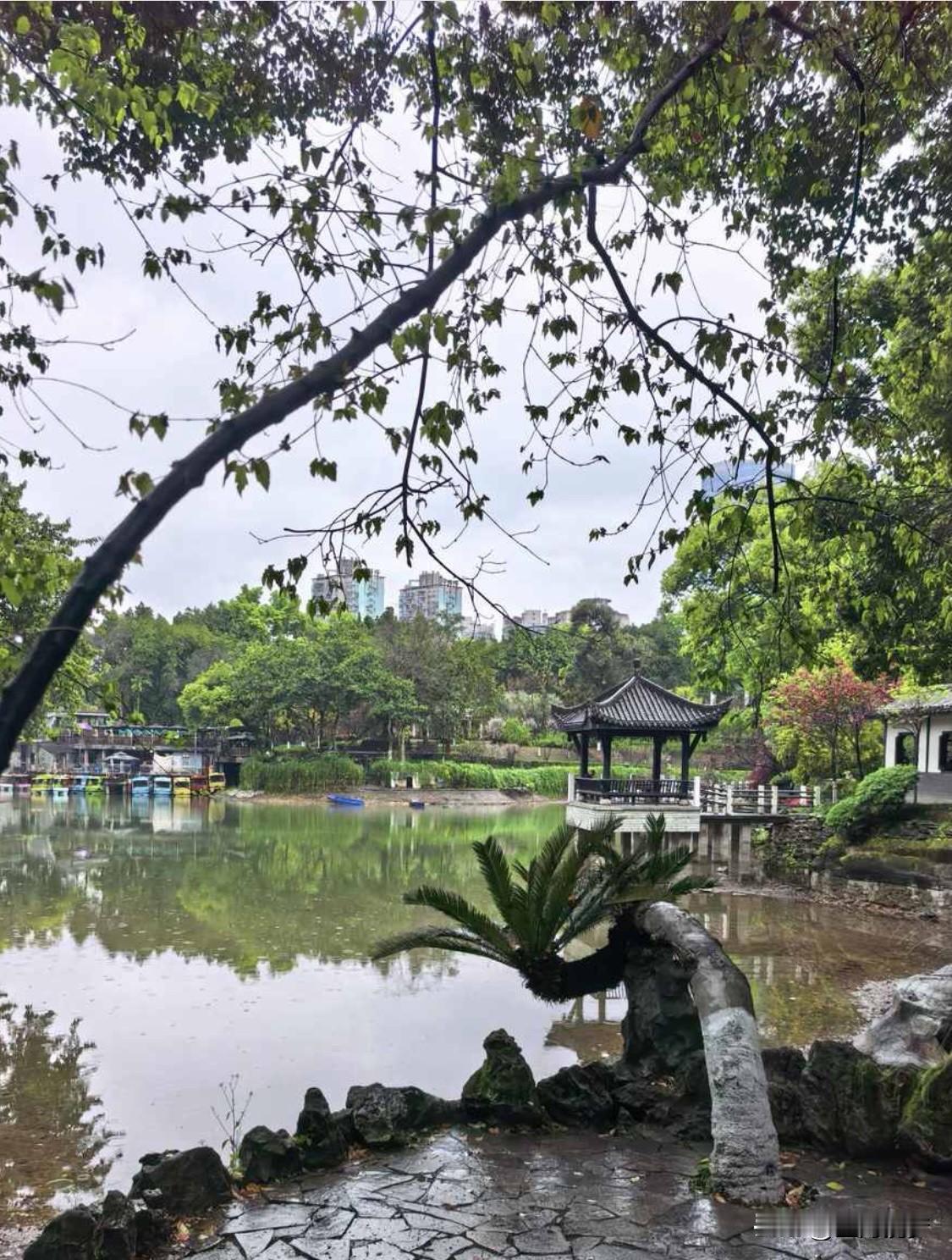 教育孩子我有俩原则。一是尊重为先，平等沟通。别老以“为你好”替孩子做决定，他们是