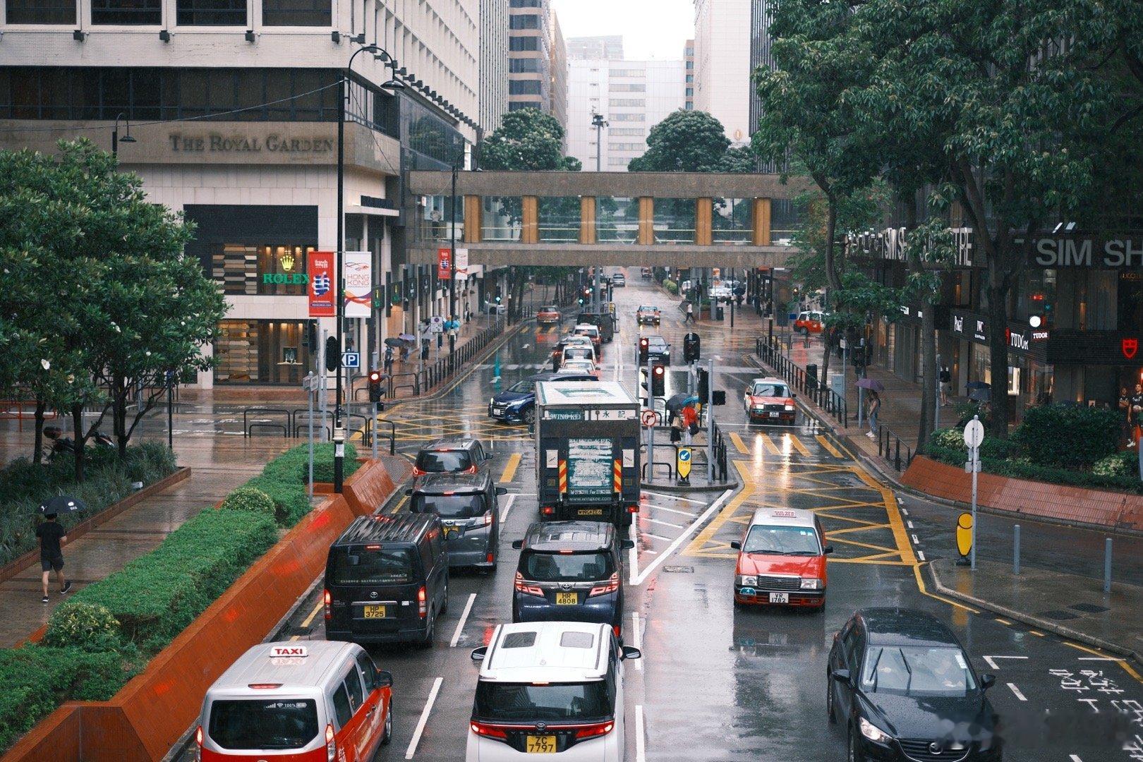 下雨天相机没怎么敢拿出来[春游家族]随便欣赏一下吧  ​​​