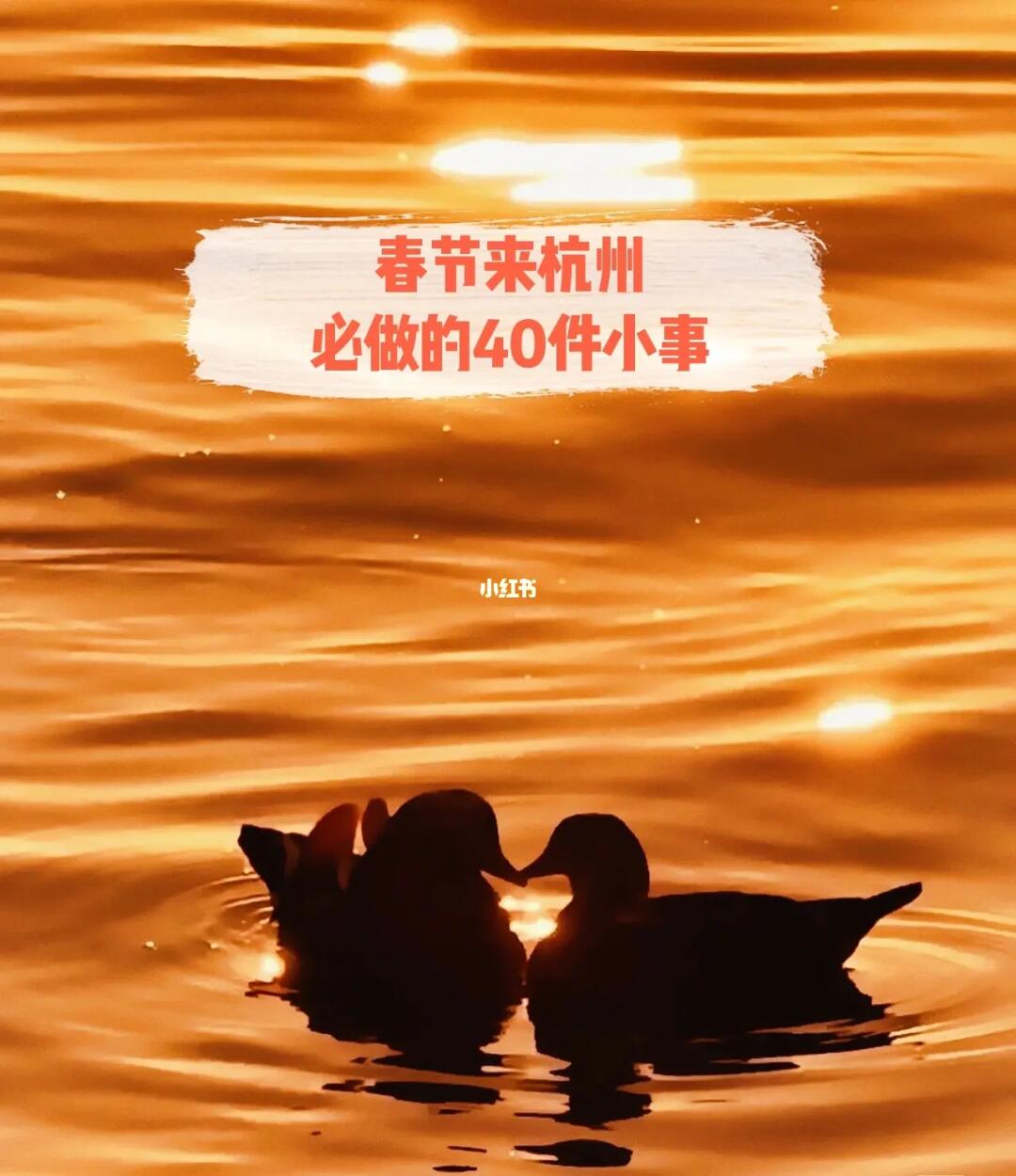 《春节来杭州必做的40件小事》旅游避坑版