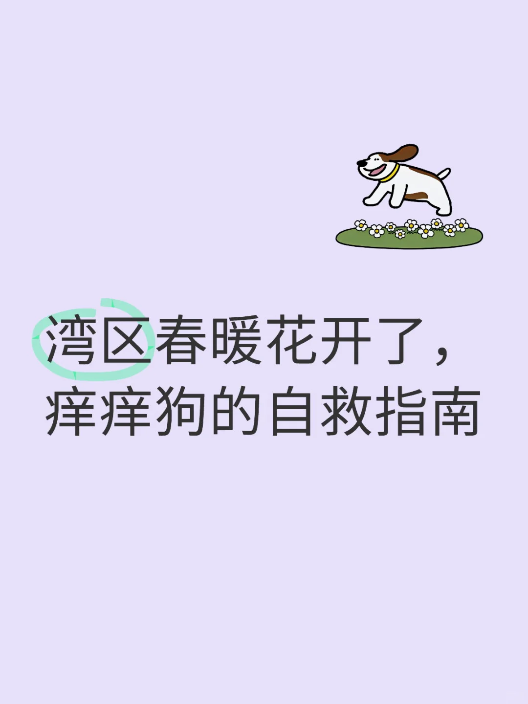 湾区春暖花开了，痒痒狗的自救指南