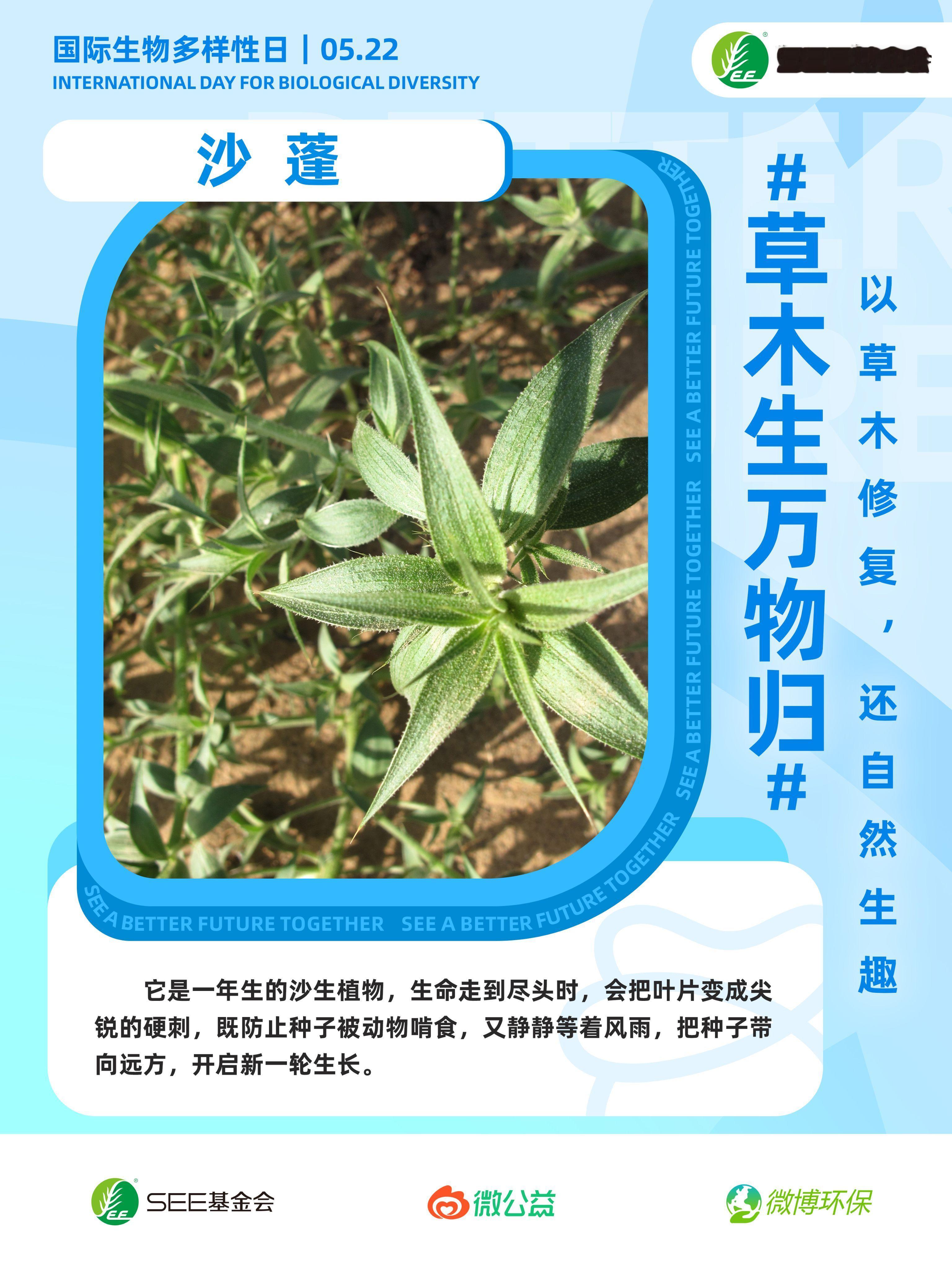 草木生万物归 你知道嘛？荒漠里没有“废柴”，个个都是生存大师🌵。看起来“普普通