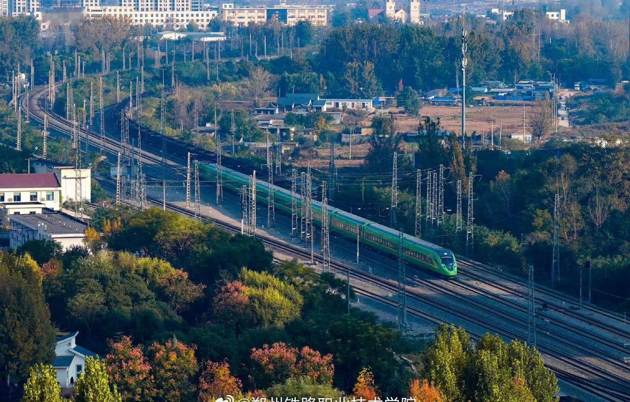 高铁如银龙穿梭于金黄树影间，在这片橙黄交织的画布上，勾勒出一道灵动的铁路风景线，