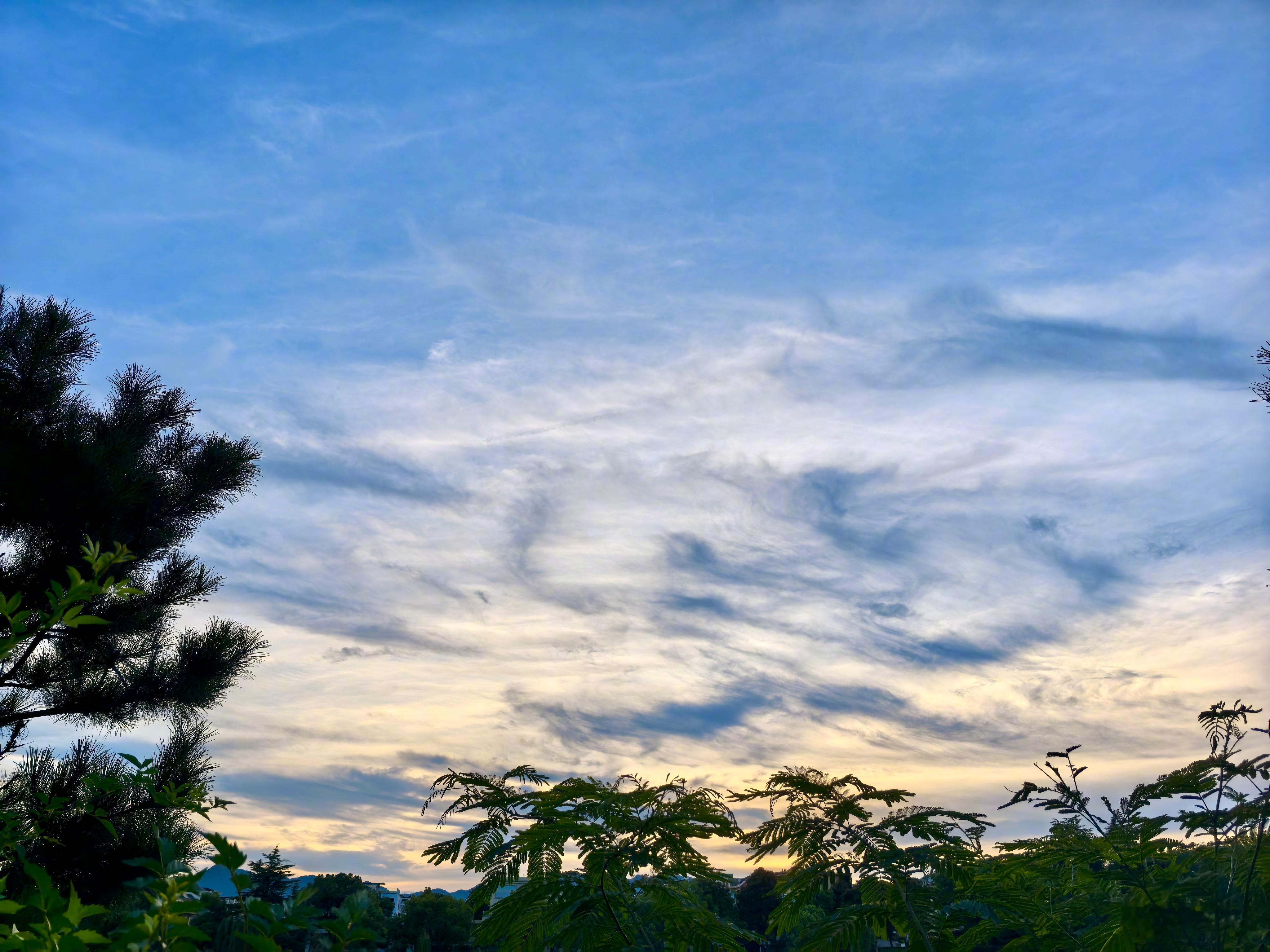 抬起头，就是夏末秋初的馈赠。“生活有千万种状态，都值得拥抱与珍藏”。享受当下，享