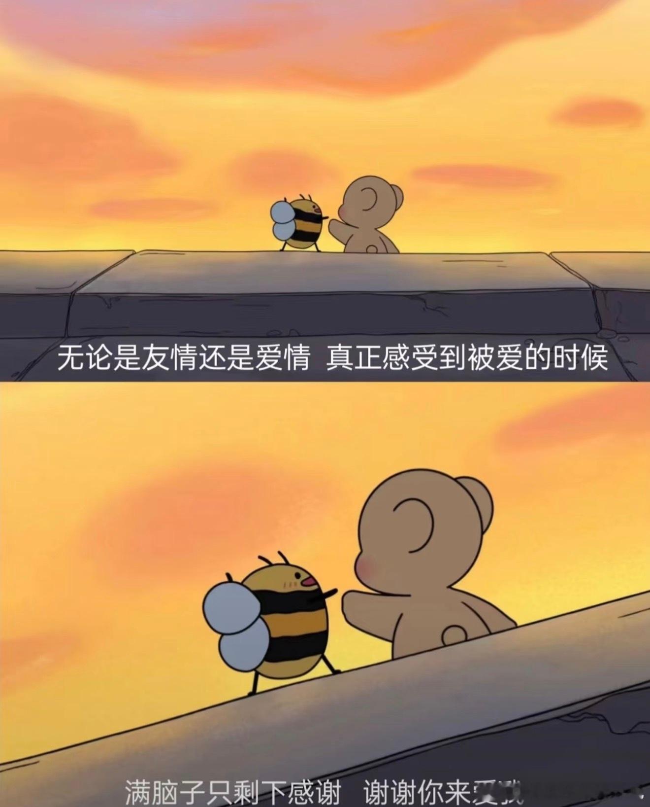被真诚对待是种什么体验你的细碎小事都会被放在心上，回应从没有敷衍与套路，不用刻意