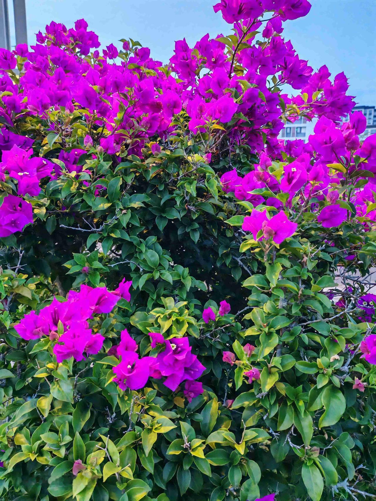 我的今日状态：😁轻松愉快
我这里的天气：☀️晴天