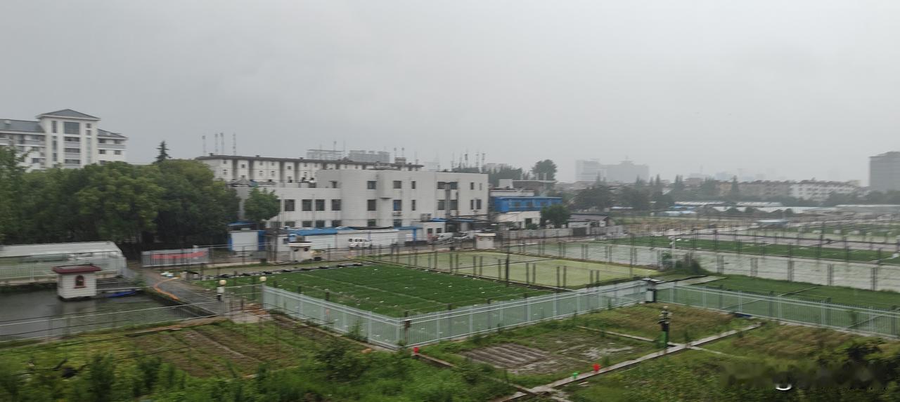 扬州市暴雨蓝色预警准时上线了！今天白天全城大范围“倒水模式”正式开启，六小时累计