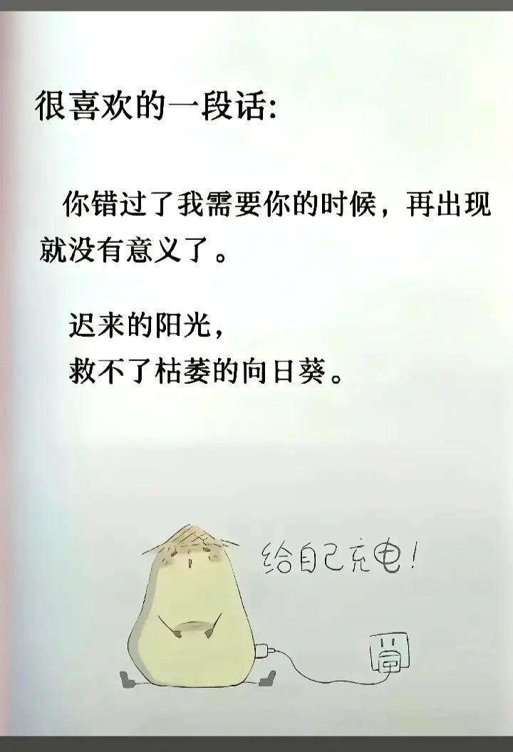 人生感悟 每日分享