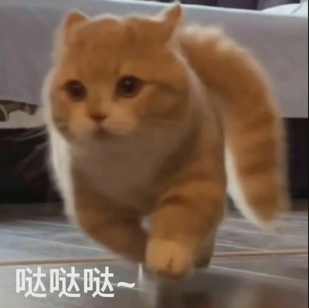 吴宣仪wxy吴宣仪乘风2025 在大家忙碌的时候，中插一下我们超喜欢在十二点前六