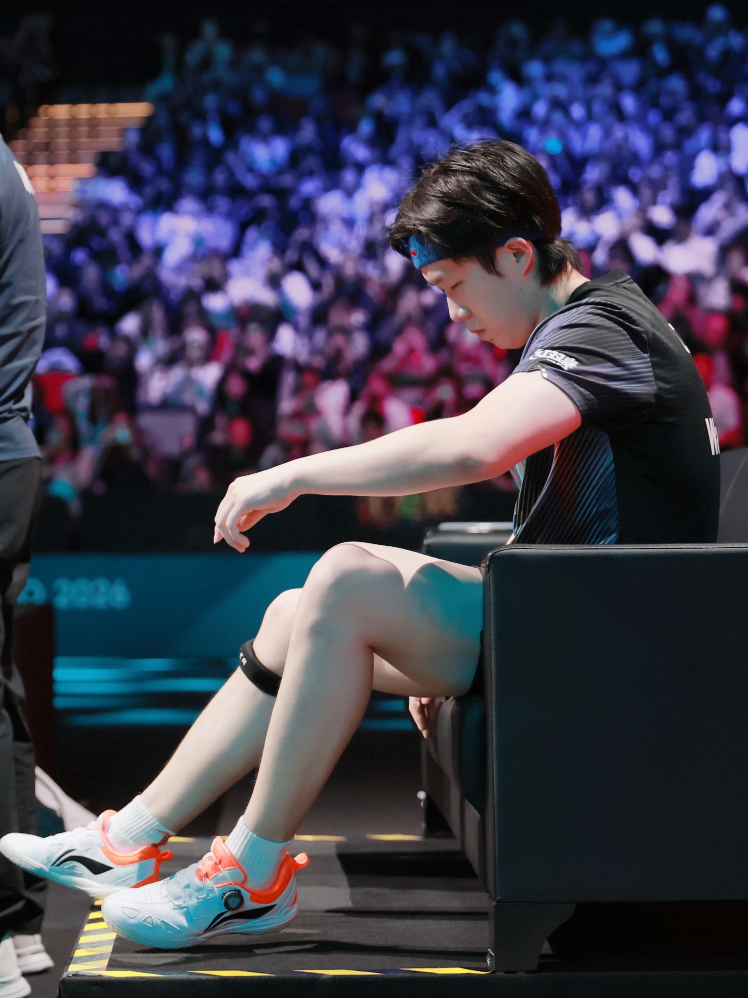 王楚钦 明晃晃的