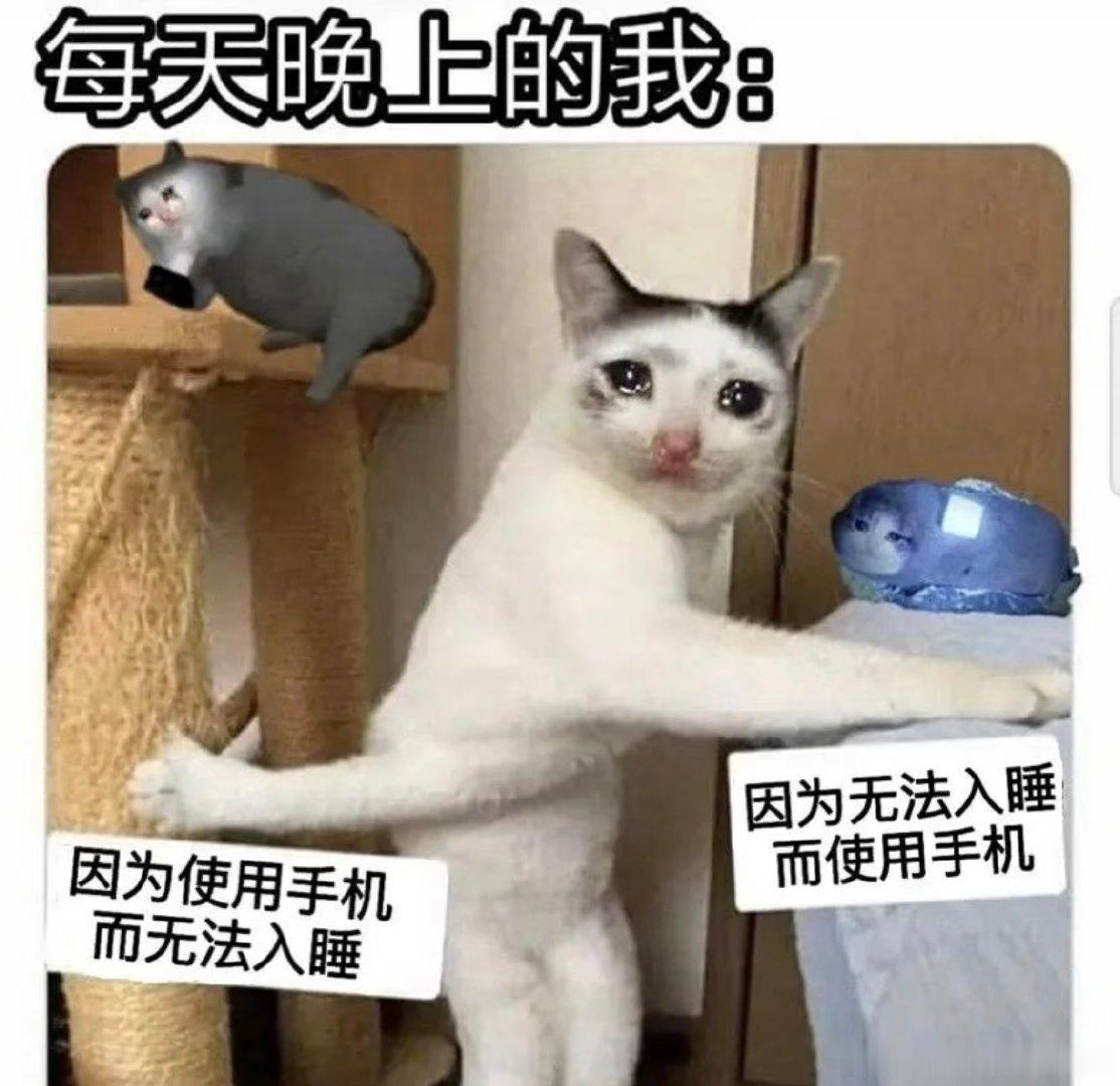 原则上不熬夜但失眠另算原则是我是没打算熬夜的但是复盘了失眠，这必须另算好吗！每次