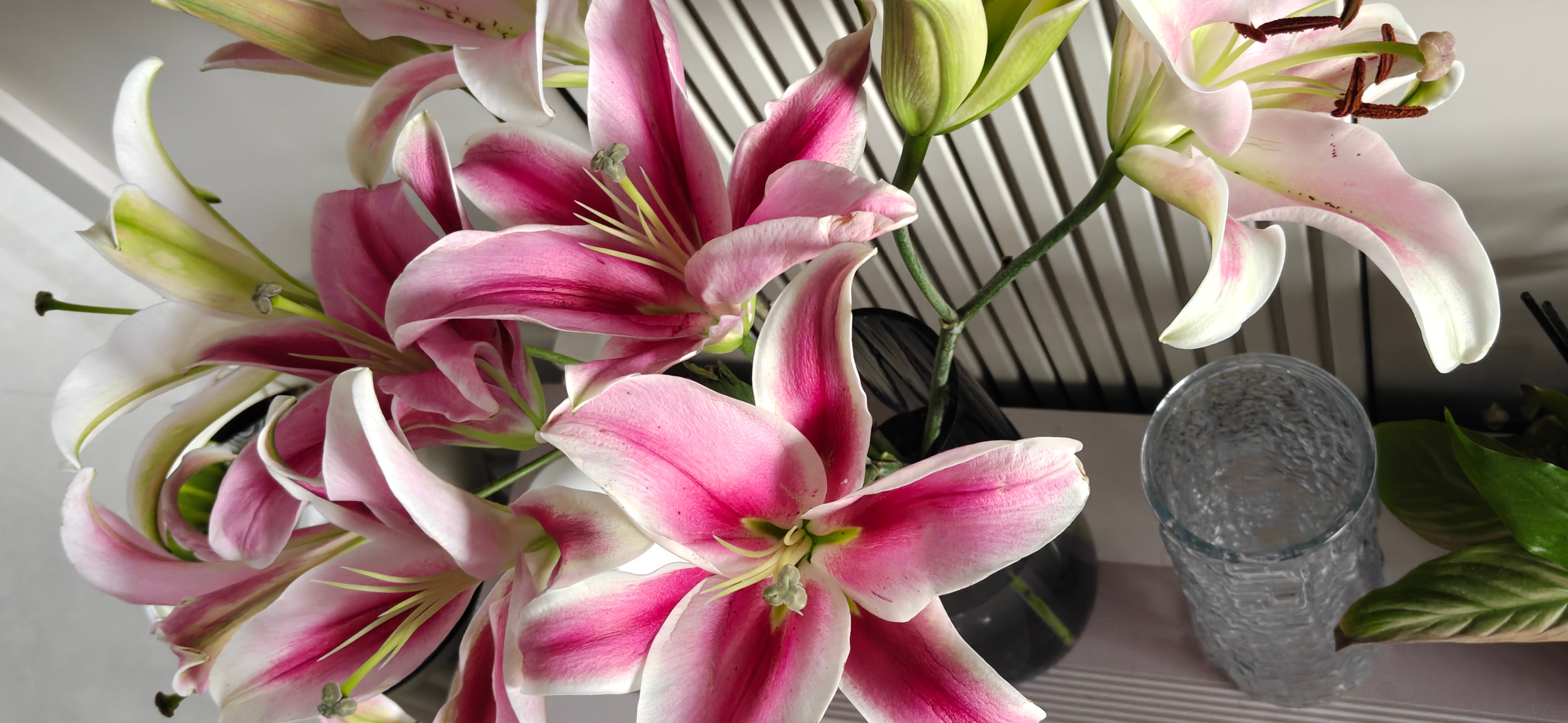 若有似无的香味... 