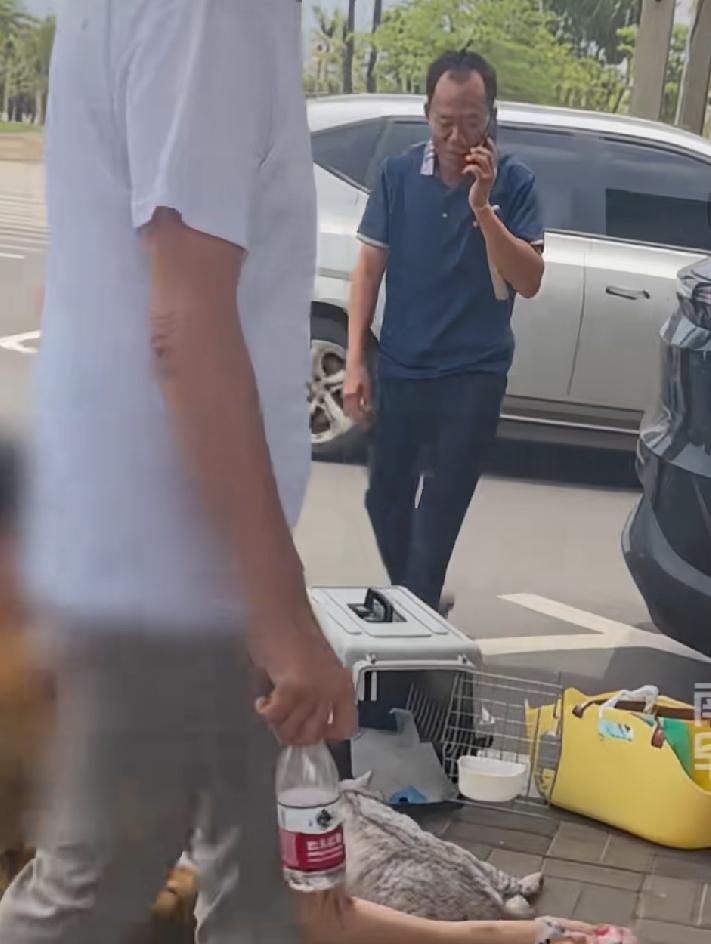 近日，海口一位独居老大妈，通过私下渠道租了一辆车，打算把她养了八年的猫从东方市带