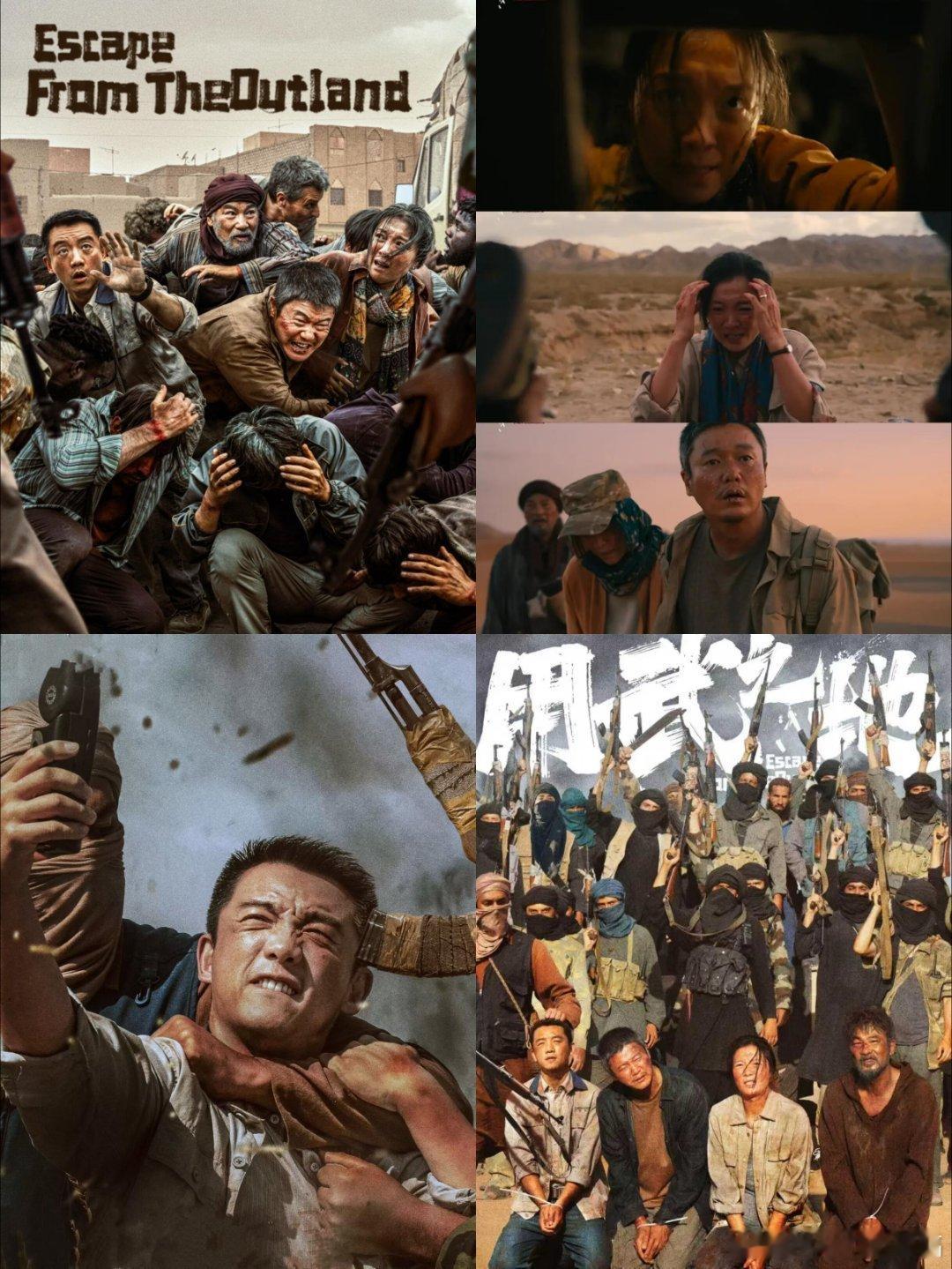 隔着玻璃看老虎又安全又刺激看《用武之地》全程手心冒汗，明明坐在安全的影院里，却感